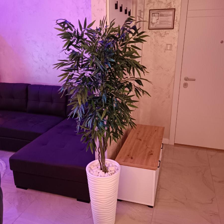 Rb Apartment 3 Lux Smart House Subotica Extérieur photo